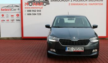 Škoda Fabia AMBITION 1.0 TSI 95KM Salon Polska GWARANCJA i RAPORT SelectCar+ FV23% full