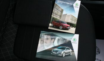 Škoda Fabia AMBITION 1.0 TSI 95KM Salon Polska GWARANCJA i RAPORT SelectCar+ FV23% full